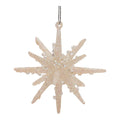 Frosted Glass Star Ornament (Set of 6)