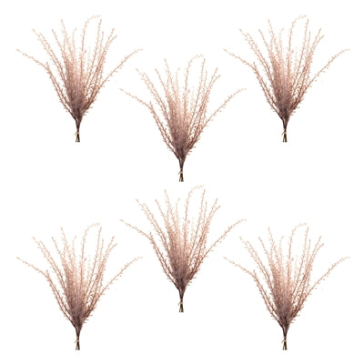 Grass Plume Bundle (Set of 6)