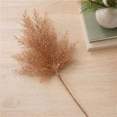 Cedar Spray (Set of 4)