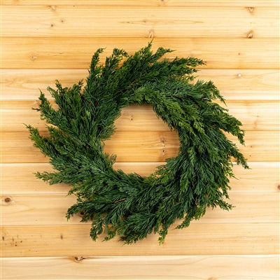 Variegated Pine Wreath 25"D