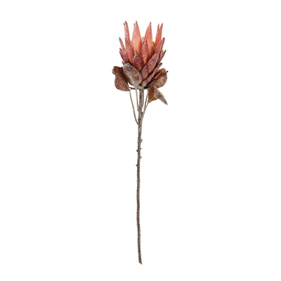Red Protea Flower Stem (Set of 2)