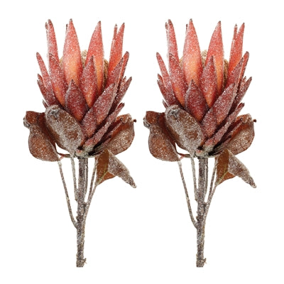 Red Protea Flower Stem (Set of 2)
