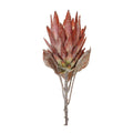 Orange Protea Flower Stem (Set of 2)