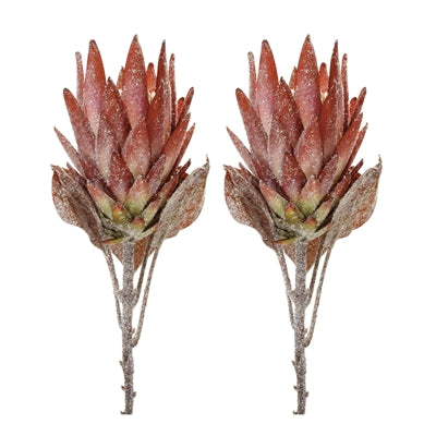 Orange Protea Flower Stem (Set of 2)