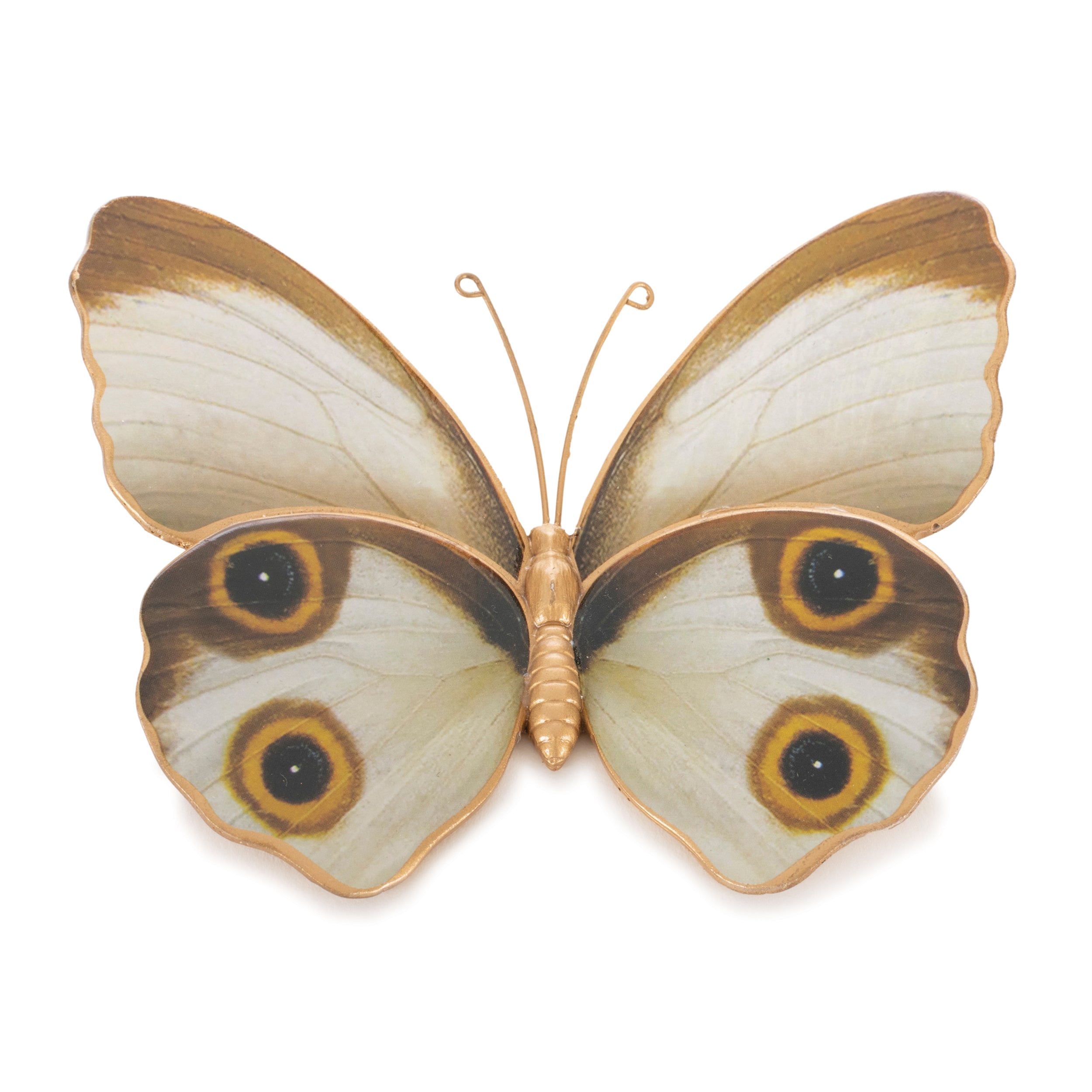 Amber Butterfly and Moth Shelf Sitter (Set of 2)
