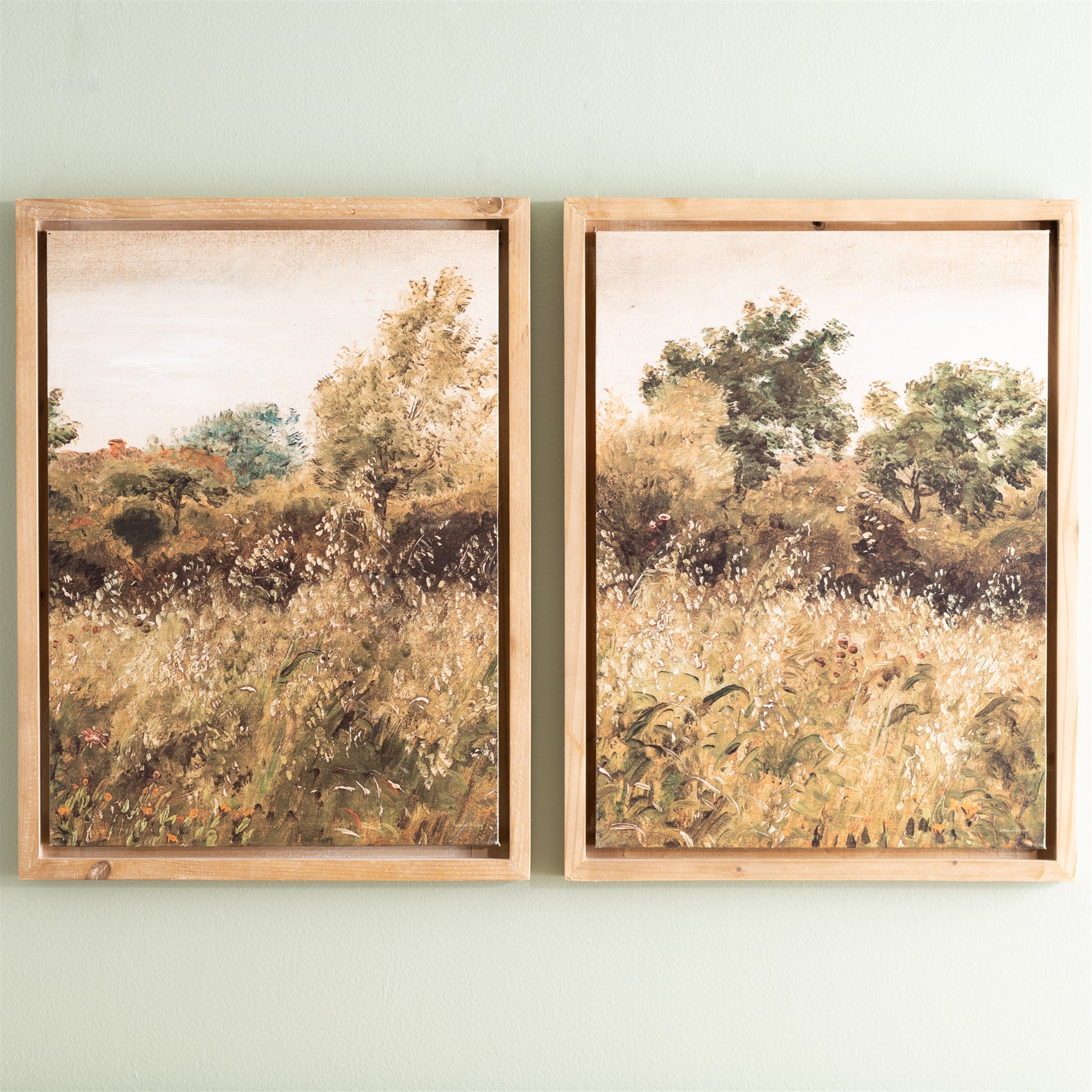 Framed Landscape Canvas Art (Set of 2)