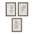 Framed Floral Insect Print (Set of 3)