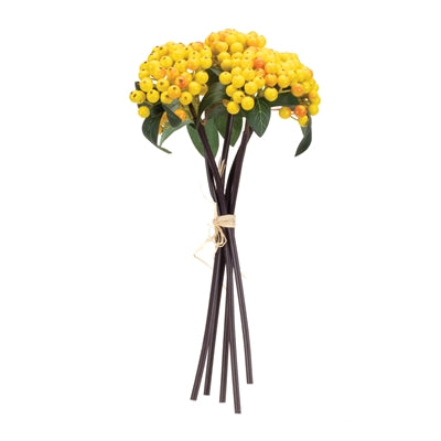 Yellow Berry Bundle (Set of 2)
