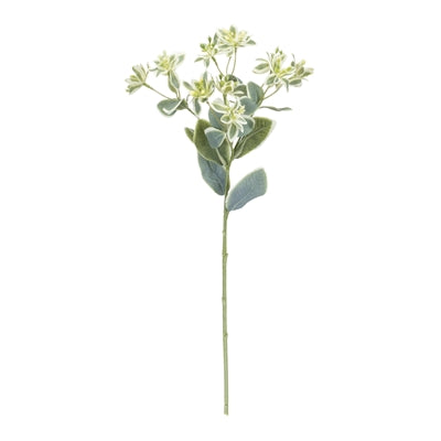 Euphorbia Floral Stem (Set of 6)