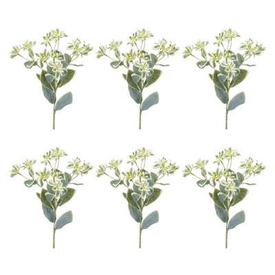 Euphorbia Floral Stem (Set of 6)