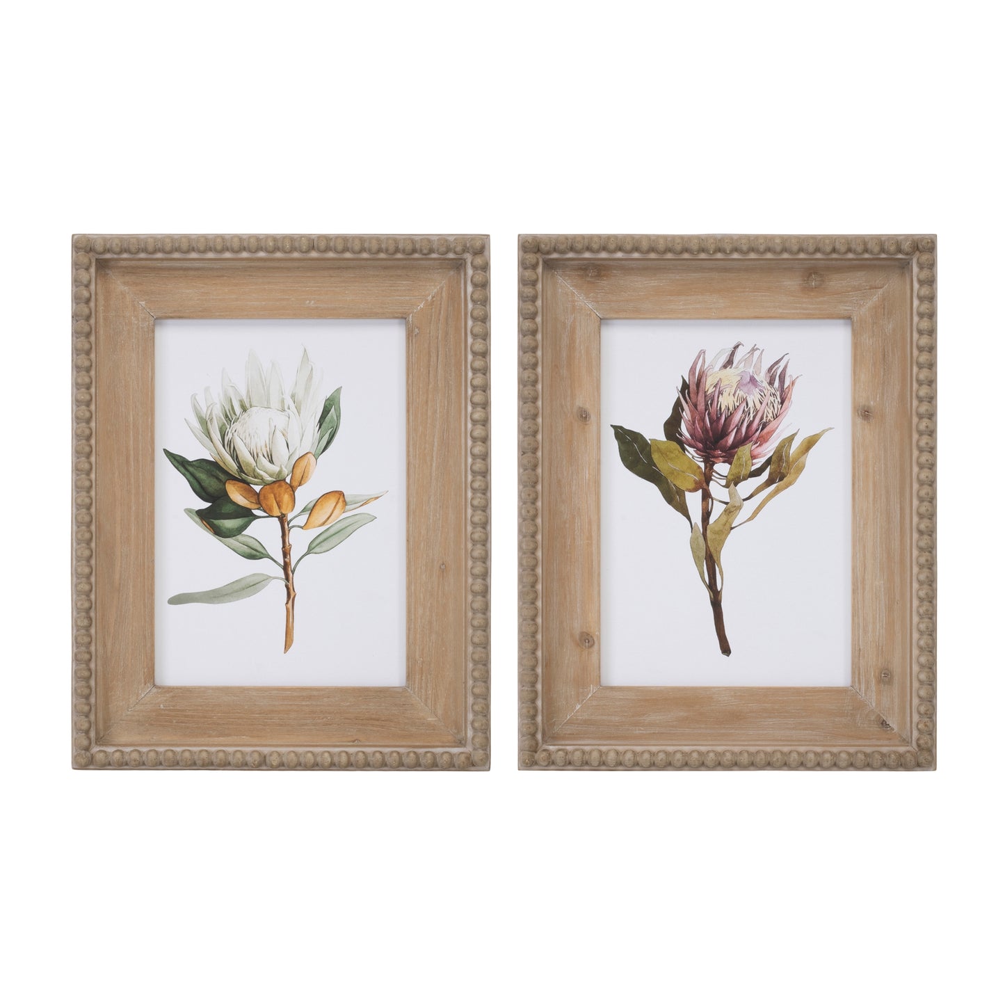 Protea Print (Set of 2) 13.5"L x 17"H Wood/MDF