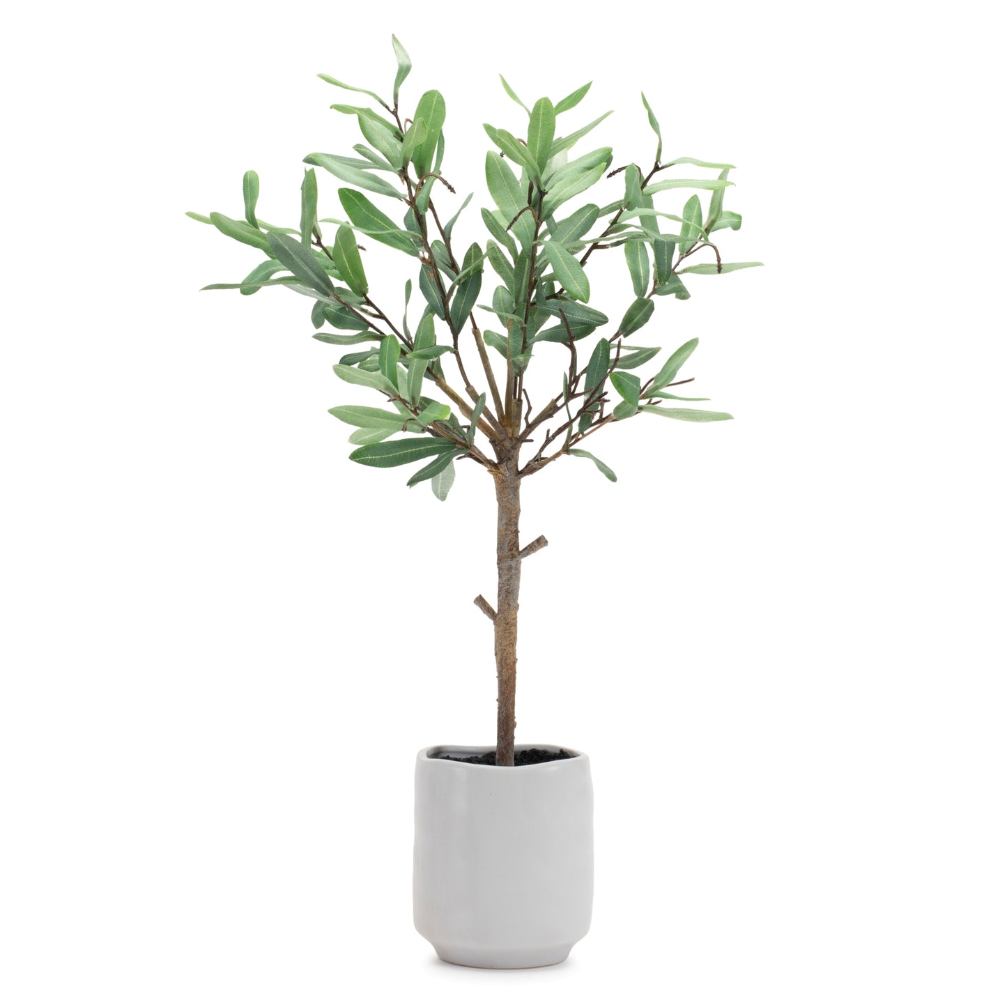 Potted Olive Leaf Topiary 21.5"H Polyester/Ceramic