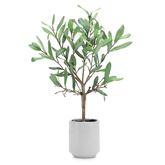 Potted Olive Leaf Topiary 17.5"H Polyester/Ceramic