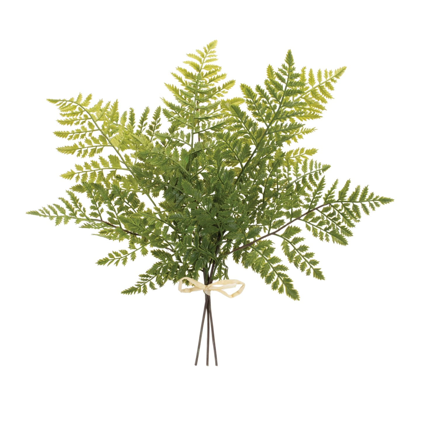 Mixed Fern Bundle (Set of 2) 19"H Plastic