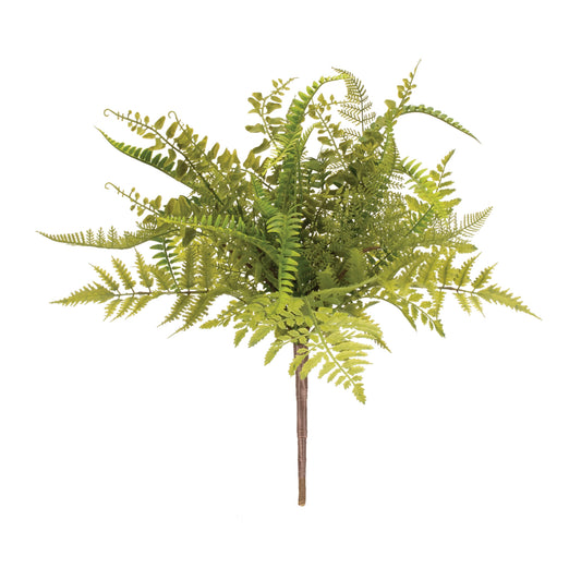 Mixed Fern Bush (Set of 2) 19"H Plastic