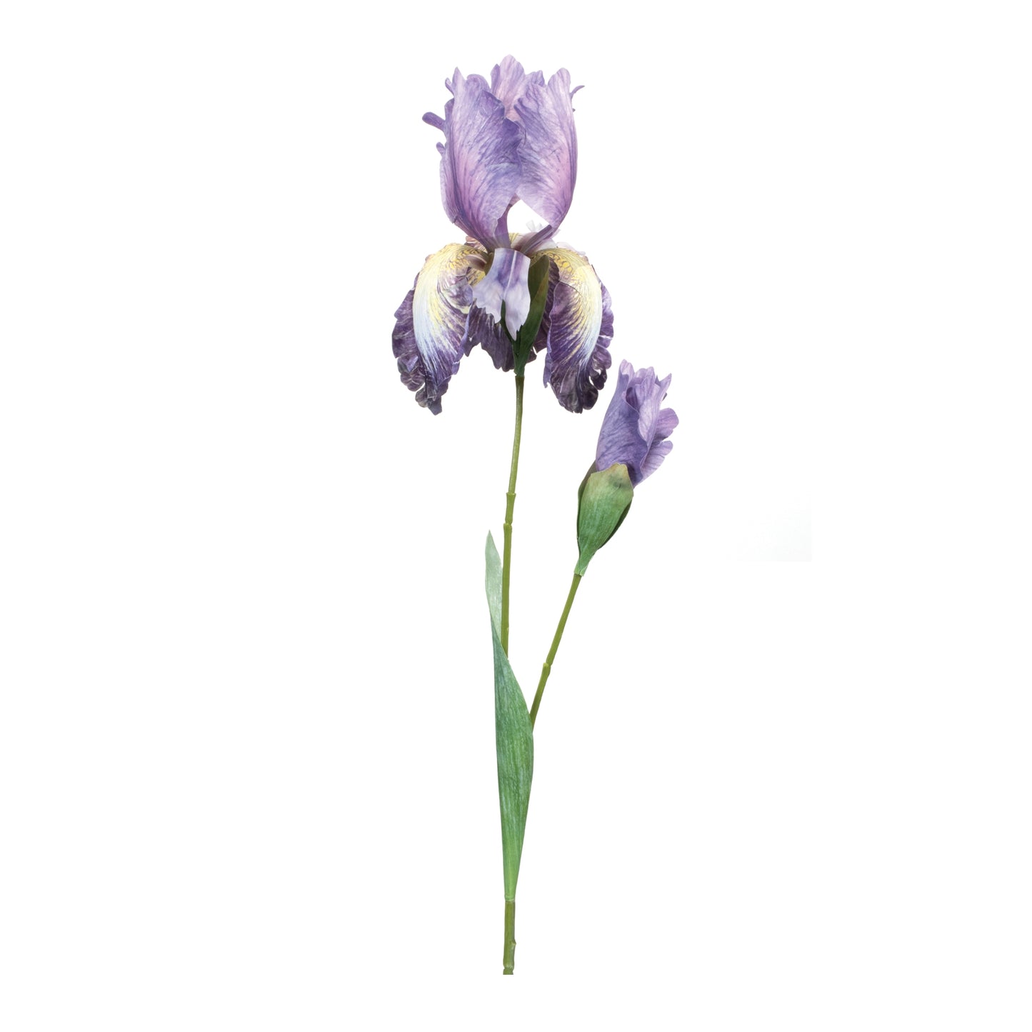 Iris Spray (Set of 2) 32.5"H Polyester