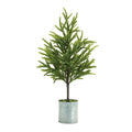 Potted Mini Pine Tree (Set of 2)