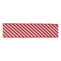 Striped Wired Ribbon (Set of 2)
