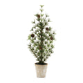 Potted Mini Pine Tree 24"H