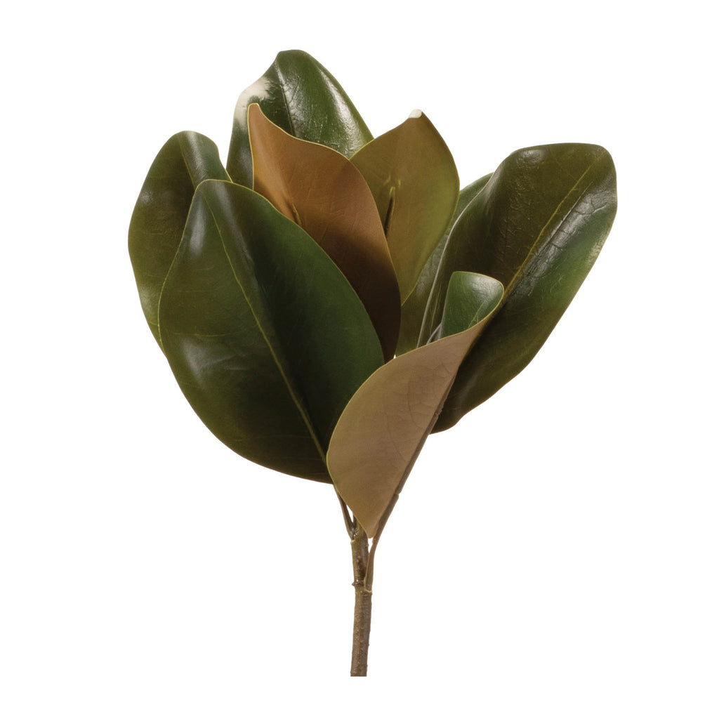 Magnolia Leaf Spray (Set of 6)