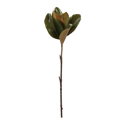Magnolia Leaf Spray (Set of 6)
