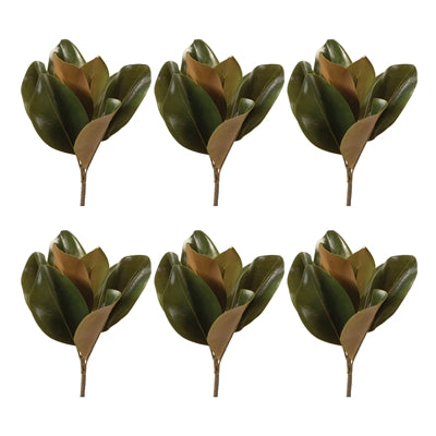 Magnolia Leaf Spray (Set of 6)