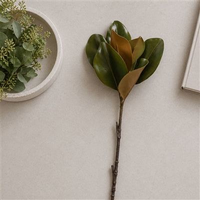 Magnolia Leaf Spray (Set of 6)