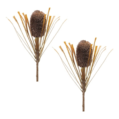 Fall Banksia Pod Stem (Set of 2)
