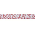 Candy Cane Print Wired Ribbon (Set of 2)