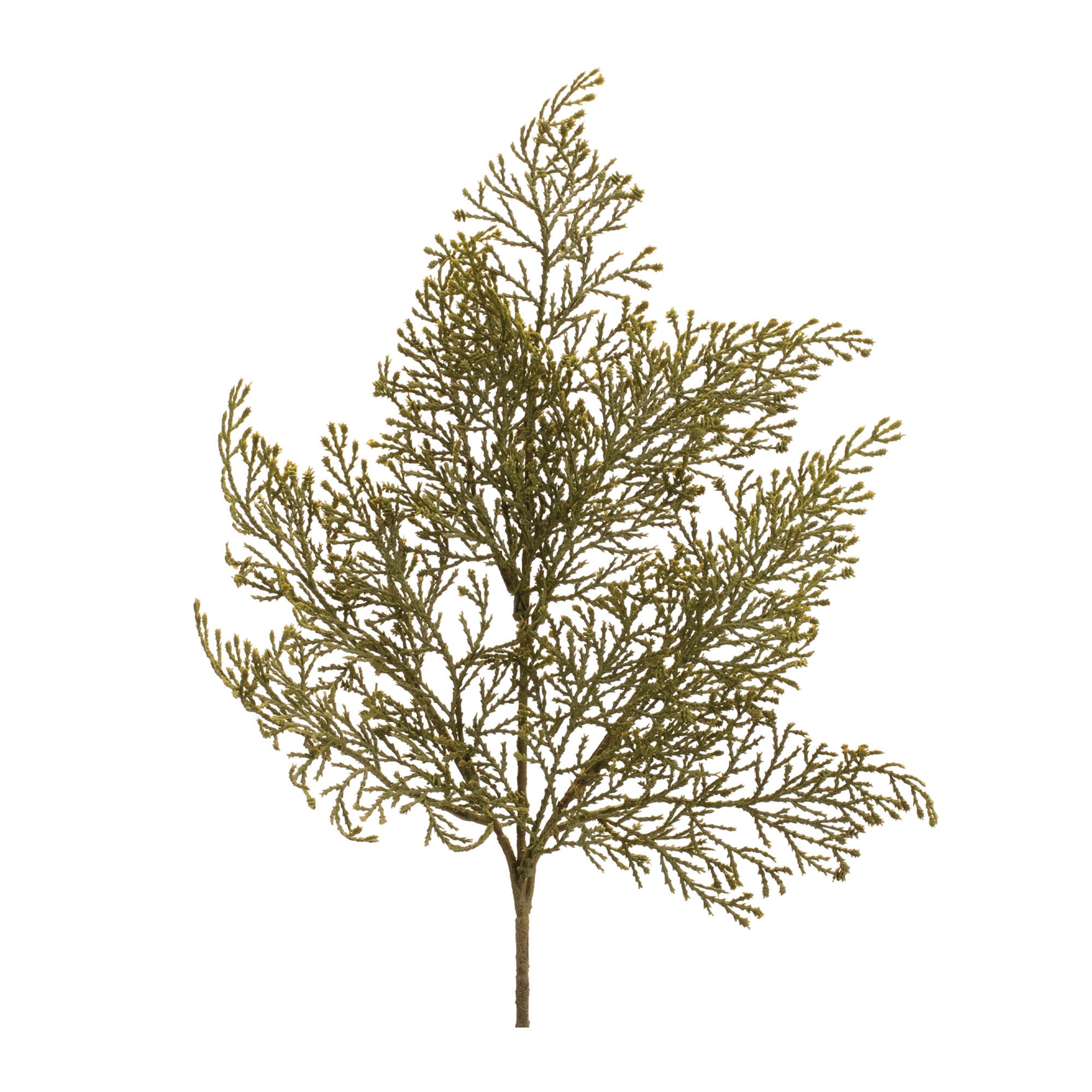 Cedar Spray (Set of 6)