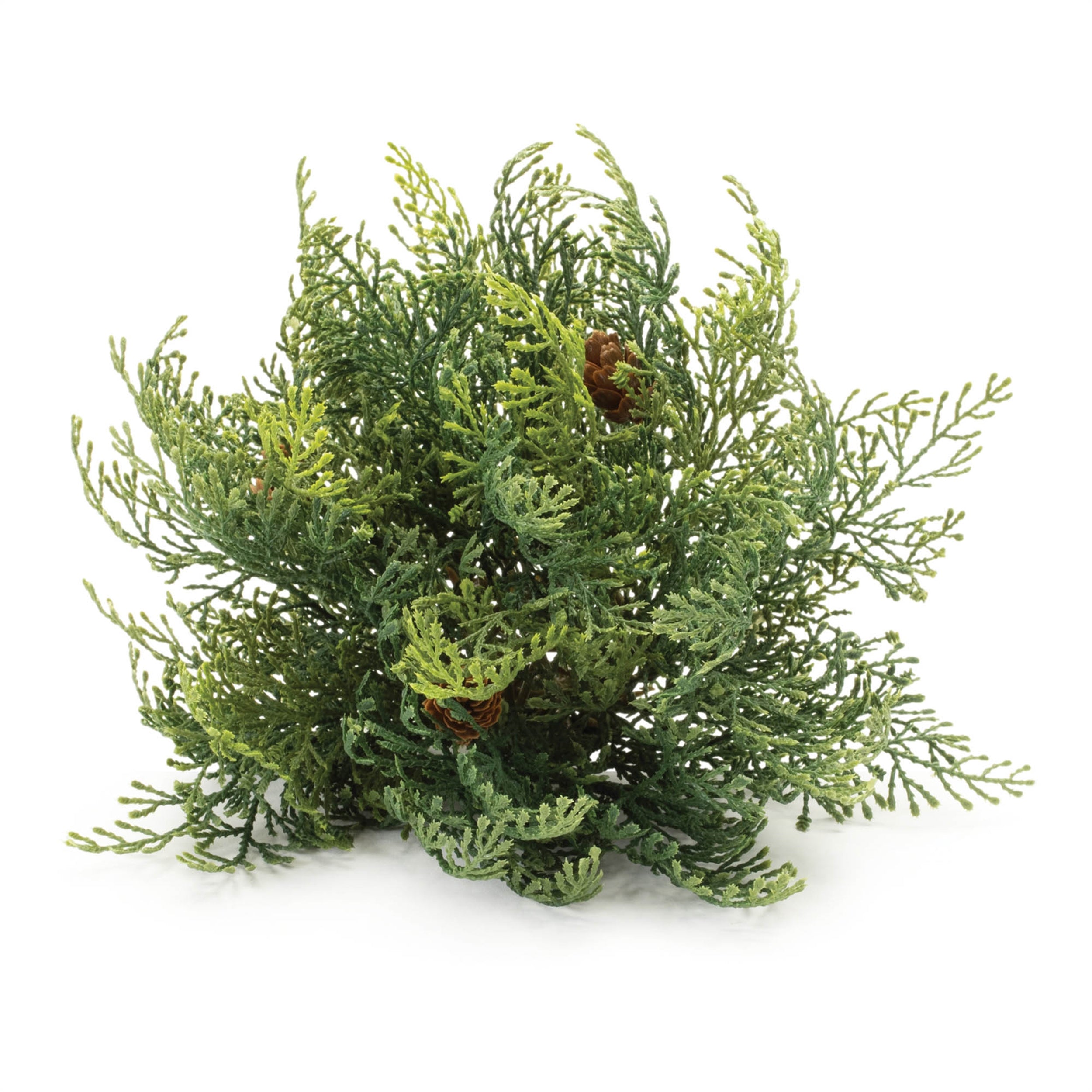 Cedar Pinecone Half Ord (Set of 2)