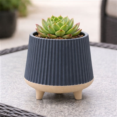 Ceramic Ribbed Footed Planter (Set of 2)