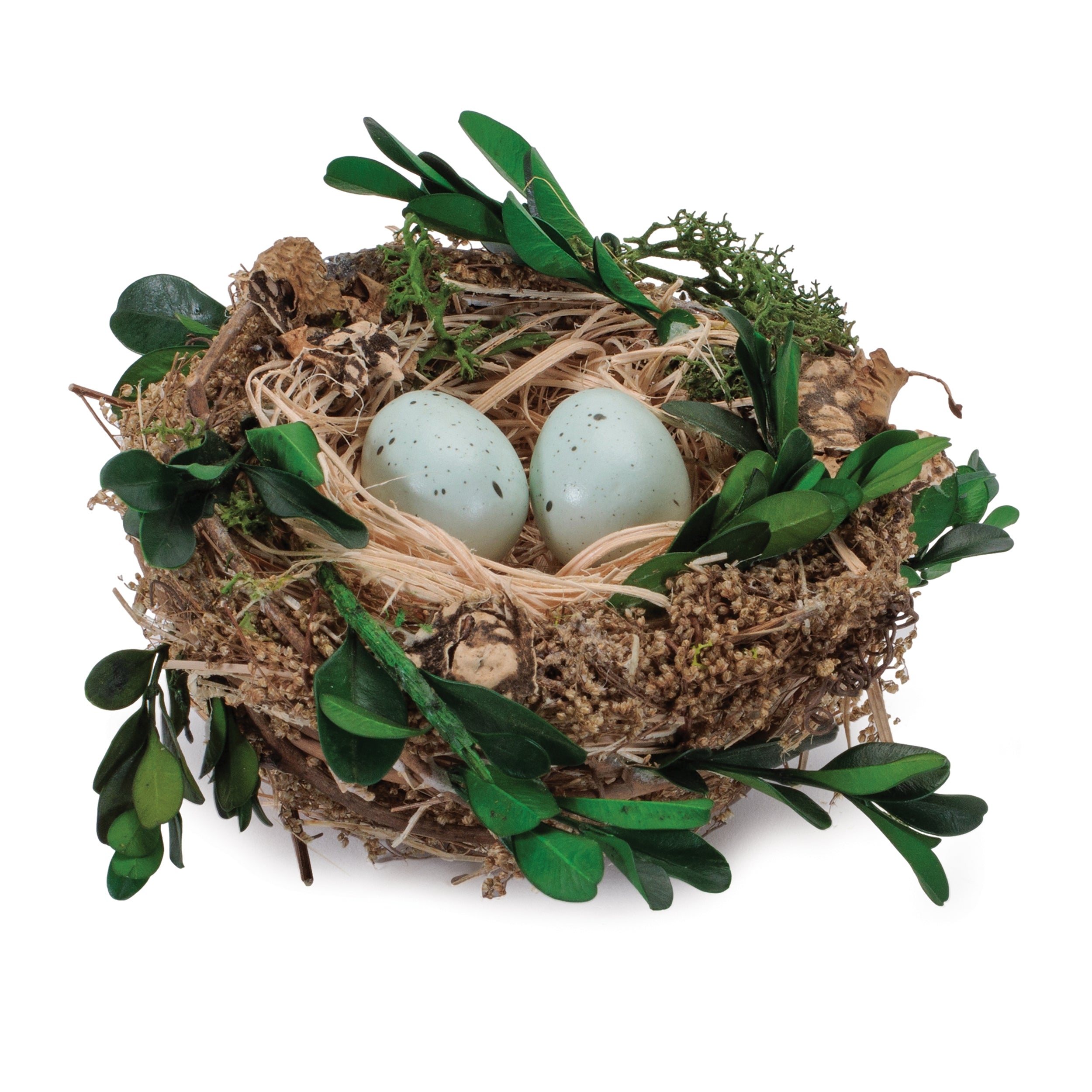 Twig Bird Nest with Eggs and Boxwood Foliage (Set of 12)