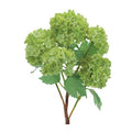 Hydrangea Spray (Set of 2) 11.5”H Polyester
