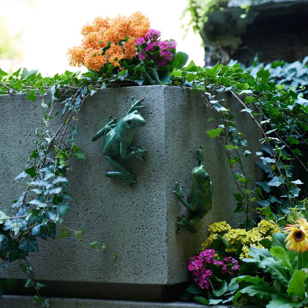 Stone Garden Frog Wall Accent (Set of 2)